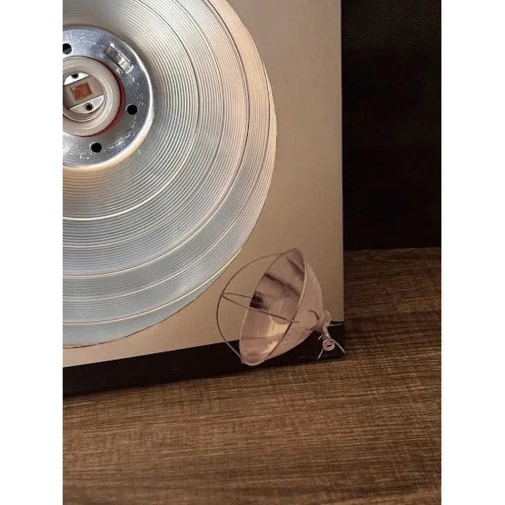 Power Zone 10‎ Inch Brooder Heat Lamp with Clamp 250W Porcelain Socket
